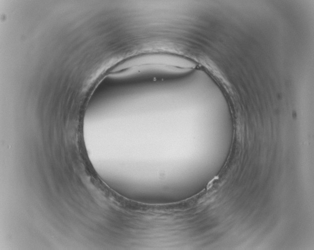 X0000058120434200510212024