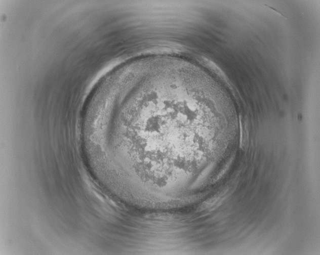 X0000058120435200510212024