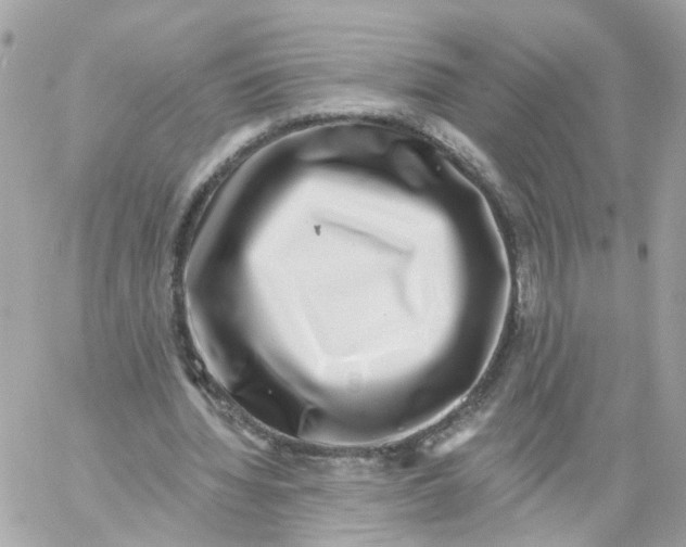 X0000058120436200510212024