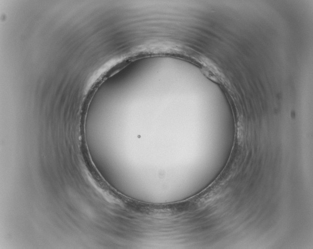 X0000058120438200510212024