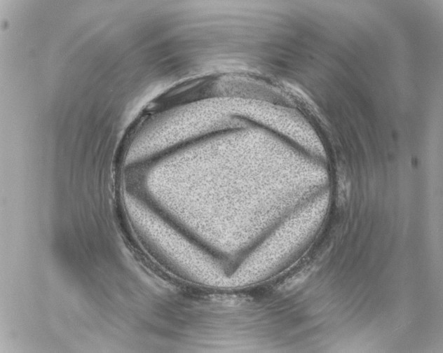 X0000058120439200510212024