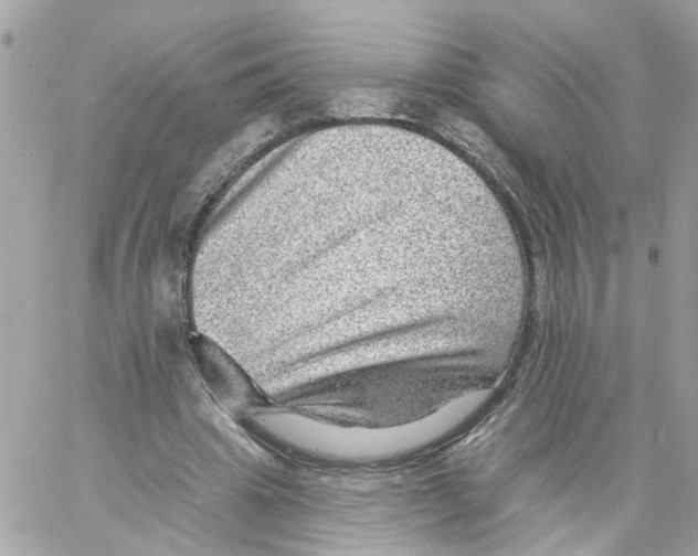 X0000058120441200510212024