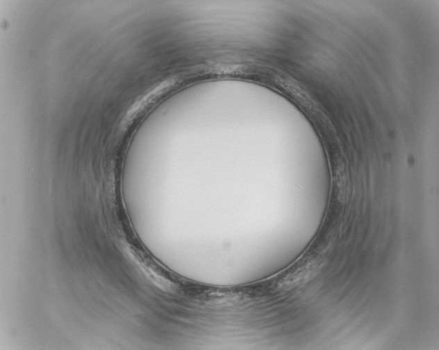 X0000058120442200510212024