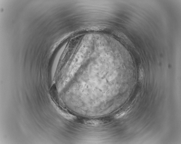 X0000058120444200510212024