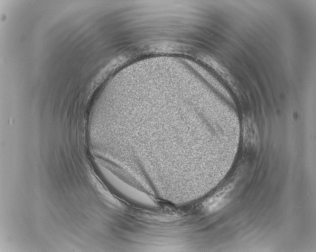 X0000058120445200510212024