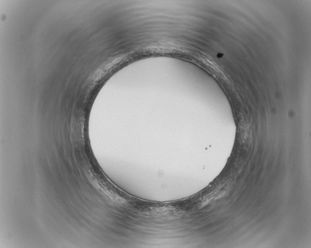 X0000058120446200510212024