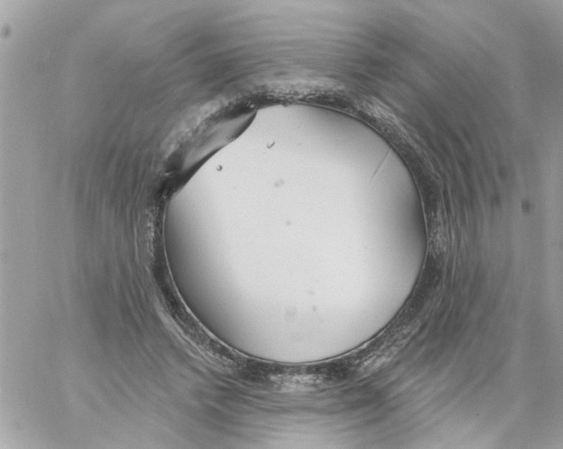 X0000058120448200510212024