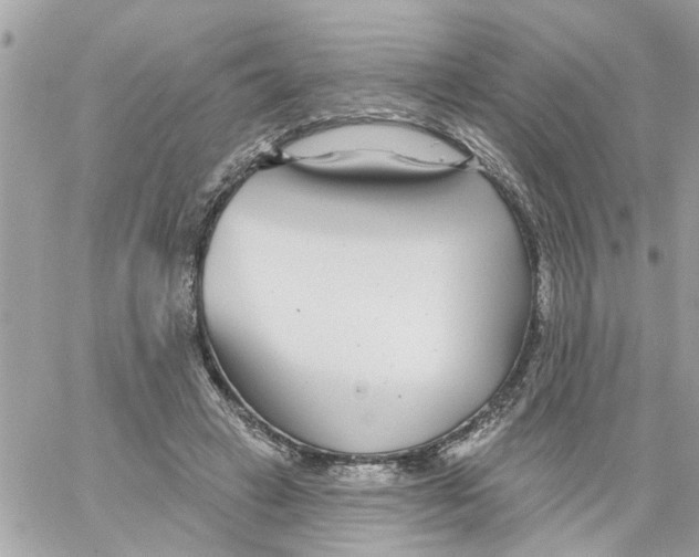 X0000058120449200510212024