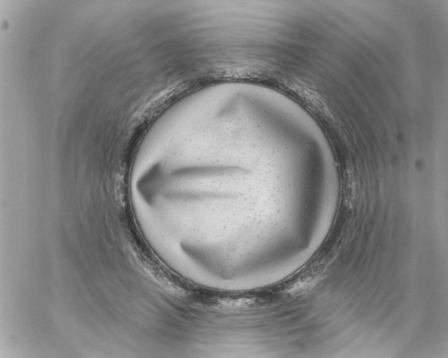 X0000058120450200510212024