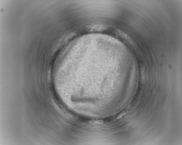 X0000058120451200510212024