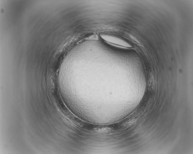 X0000058120452200510212024