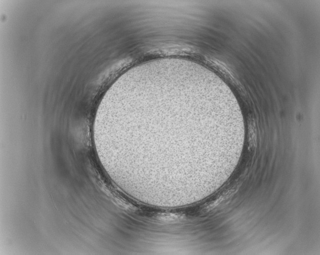 X0000058120453200510212025