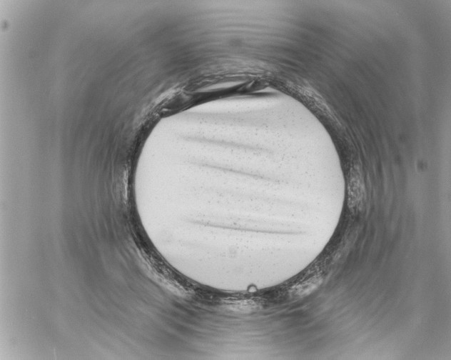 X0000058120454200510212025