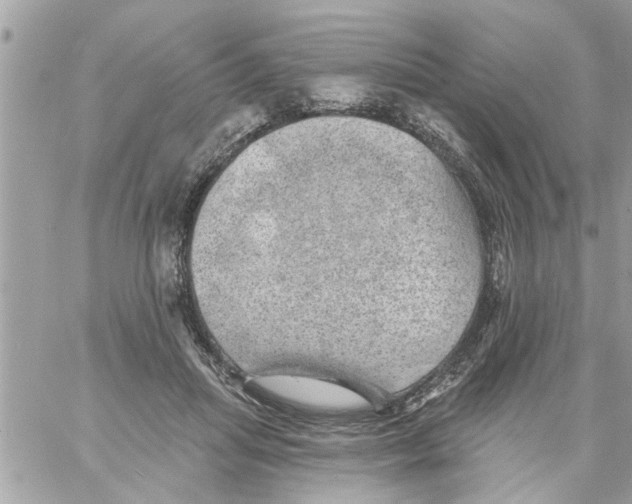 X0000058120455200510212025