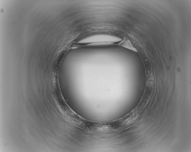 X0000058120456200510212025