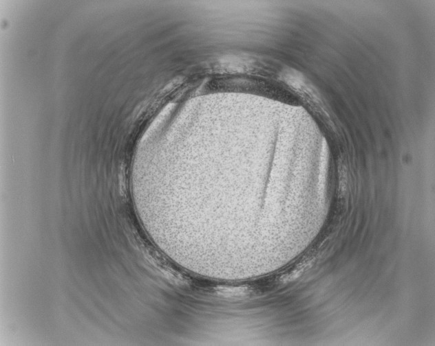 X0000058120457200510212025