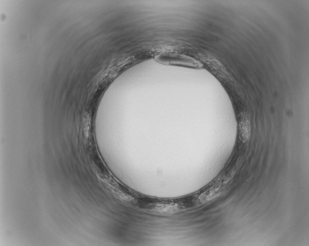 X0000058120458200510212025