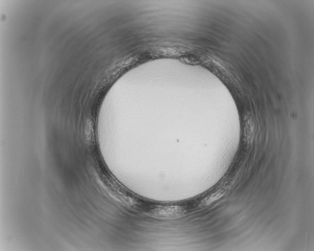 X0000058120459200510212025