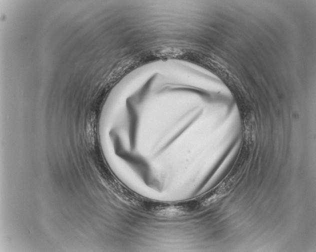 X0000058120460200510212025