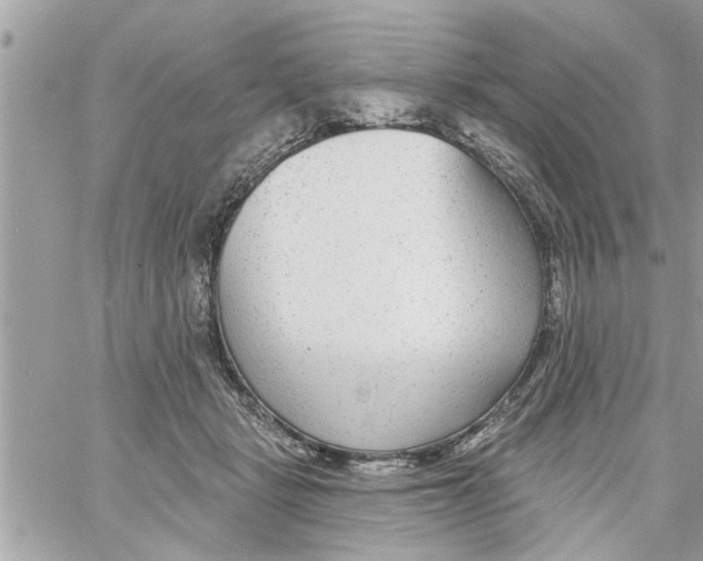 X0000058120461200510212025