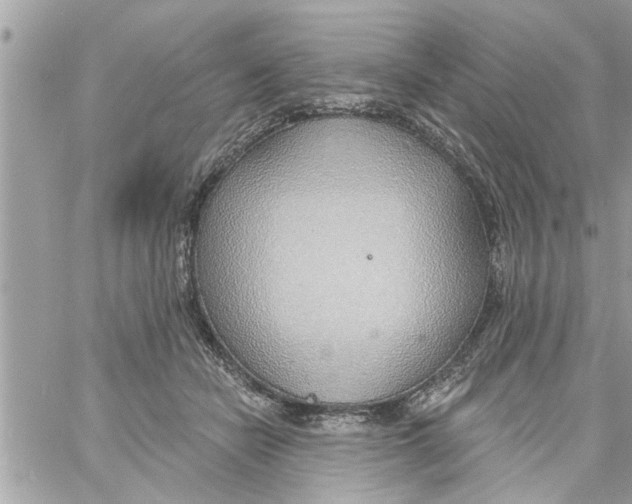 X0000058120462200510212025