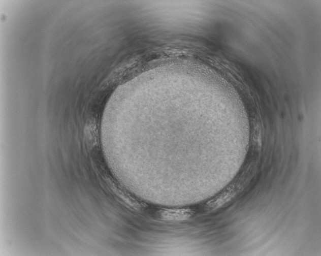 X0000058120465200510212025