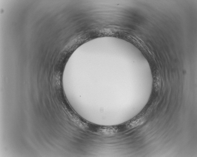 X0000058120466200510212025