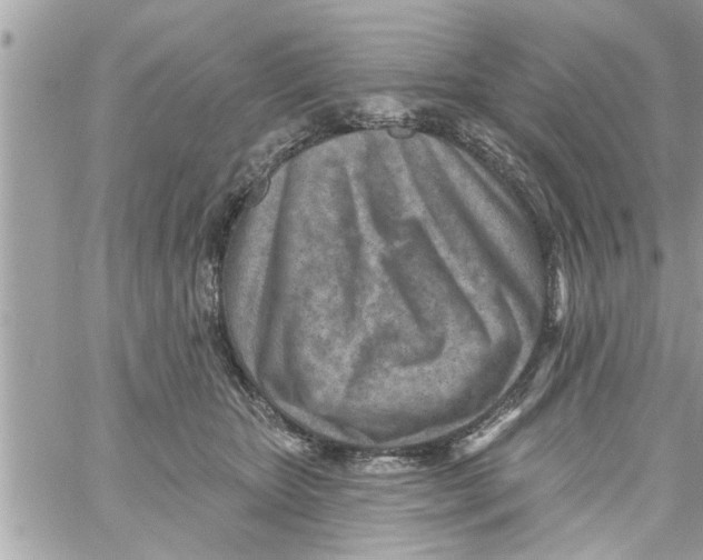 X0000058120467200510212025