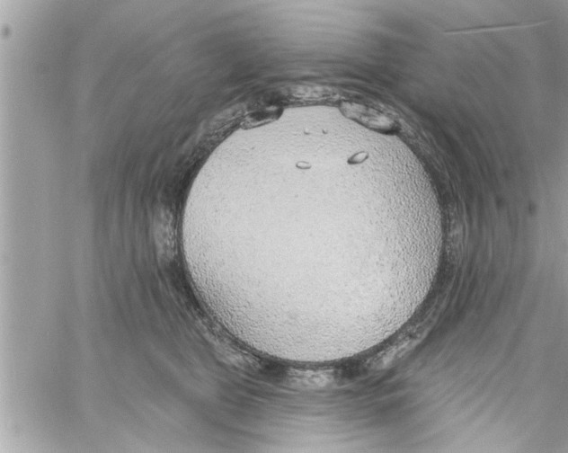 X0000058120469200510212025