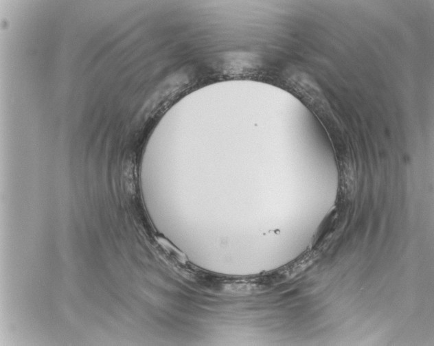 X0000058120470200510212025