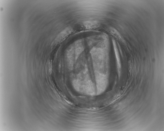 X0000058120471200510212025