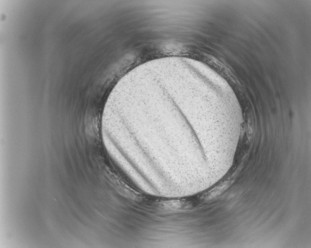 X0000058120473200510212025