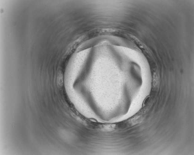 X0000058120474200510212025