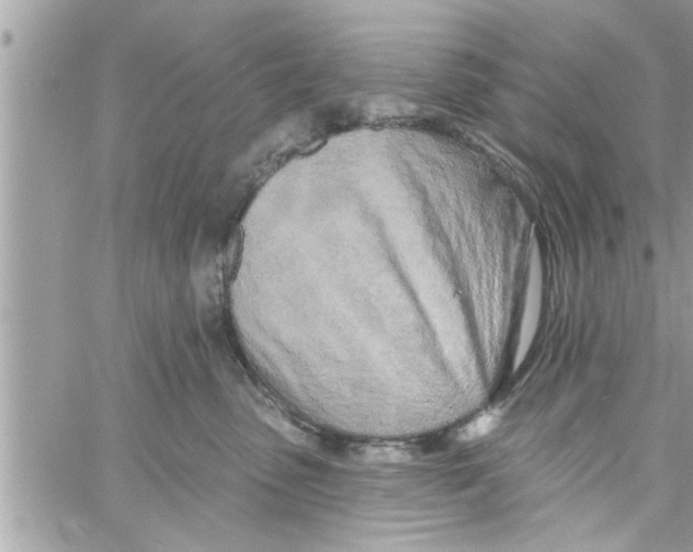 X0000058120475200510212025