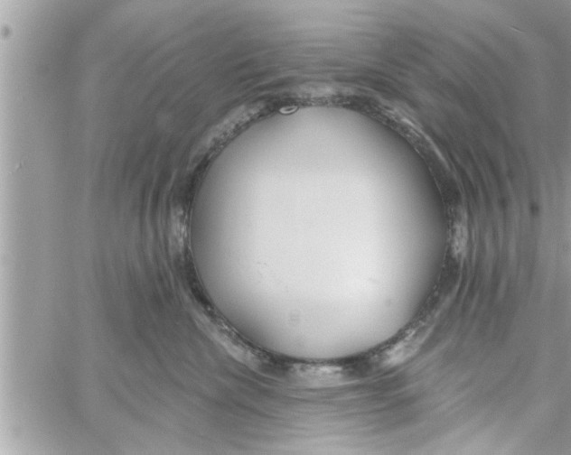 X0000058120476200510212025