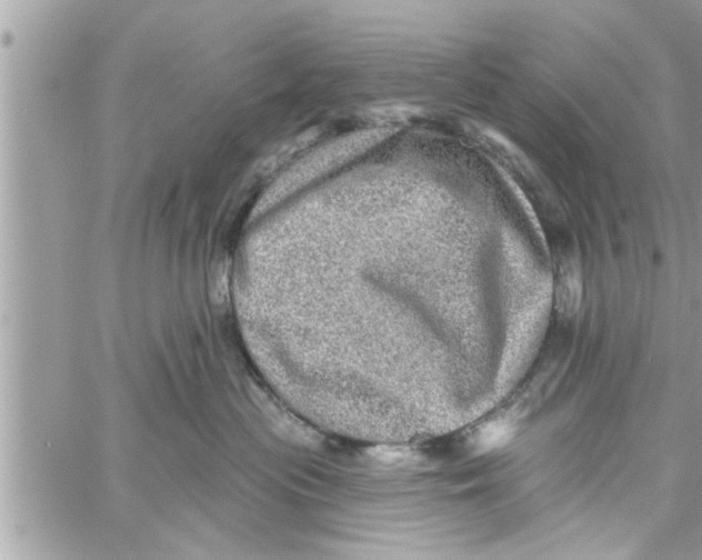 X0000058120477200510212025