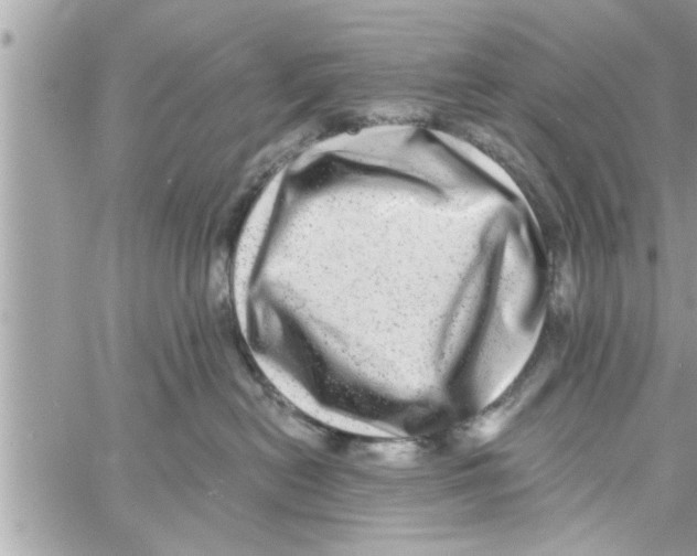 X0000058120478200510212025