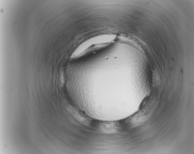 X0000058120479200510212025