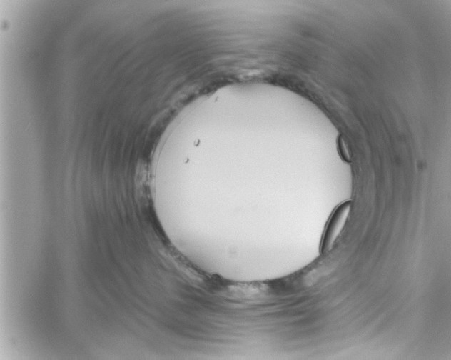 X0000058120480200510212025