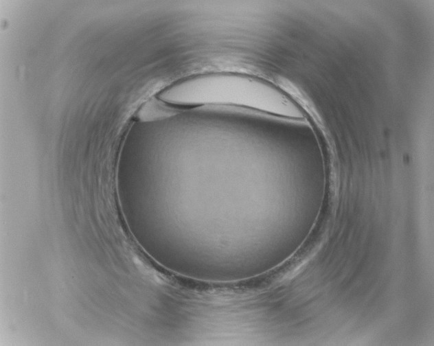 X0000058120481200510212024