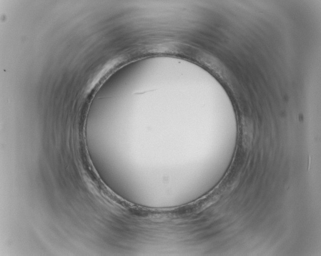 X0000058120482200510212024