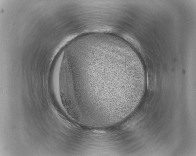 X0000058120483200510212024