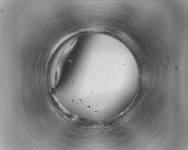 X0000058120484200510212024