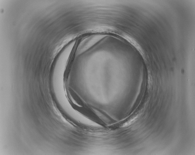 X0000058120485200510212024