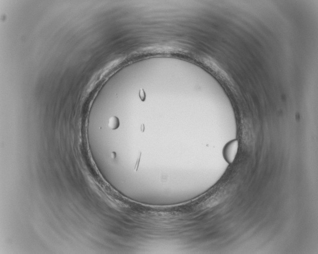 X0000058120486200510212024