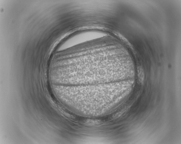 X0000058120487200510212024