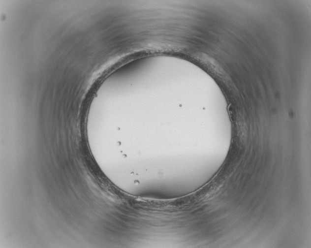 X0000058120488200510212024