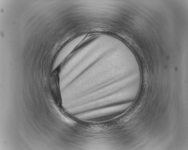 X0000058120489200510212024