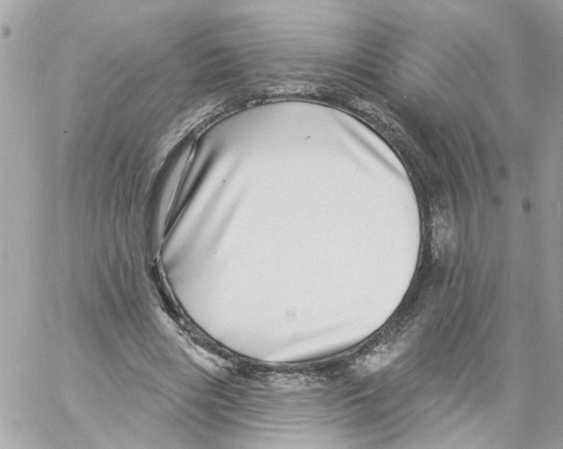 X0000058120490200510212024