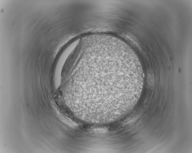 X0000058120491200510212024